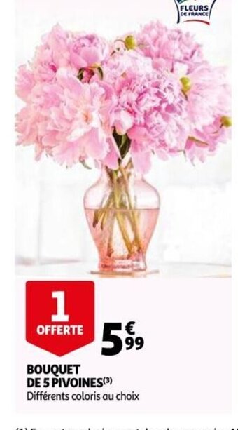Bouquet de 5 Pivoines