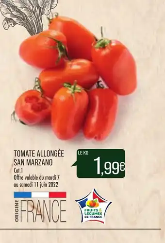 Match Tomate Allongée San Marzano offre