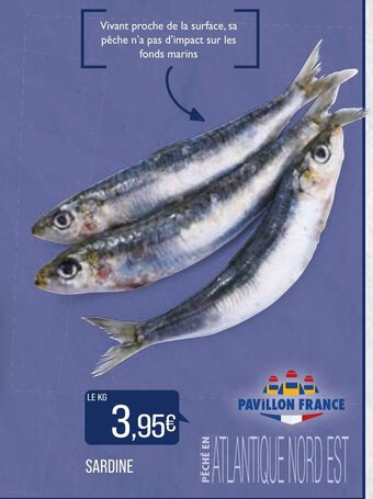 Match Sardine offre