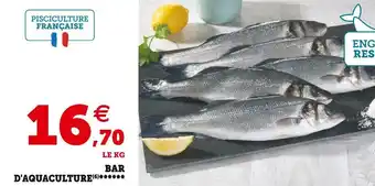 Super U Bar d'aquaculture****** offre