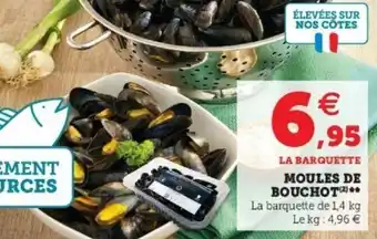 Moules de Bouchot