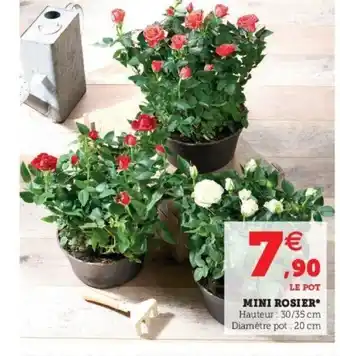 Super U Mini Rosier offre