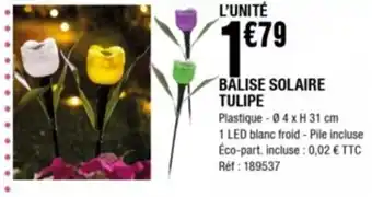 La Foir'Fouille Balise Solaire Tulipe offre