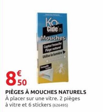Rural Master Pièges à mouches naturels offre