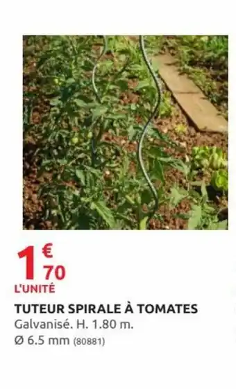 Rural Master Tuteur spirale à tomates offre