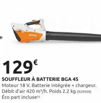 Rural Master Souffleur à batterie BGA 45 offre