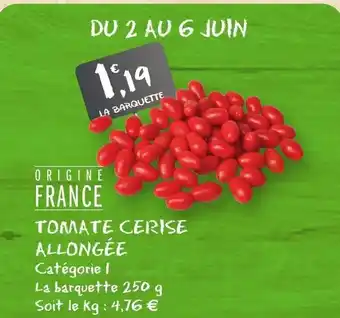 G20 Tomate Cerise Allongée offre