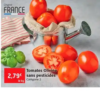 Tomates Olivine Sans Pesticides