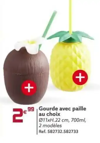 Gifi Gourde Avec Paille Au Choix offre