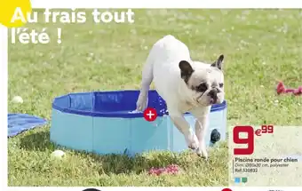 Gifi Piscine Ronde Pour Chien offre