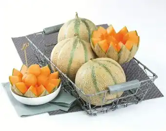 U Express MELON CHARENTAIS JAUNE offre