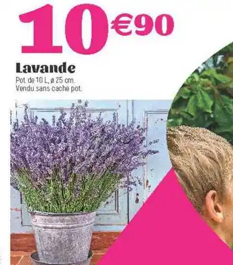 E.Leclerc Lavande offre