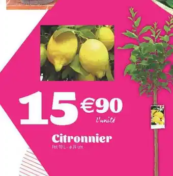 E.Leclerc Citronnier offre