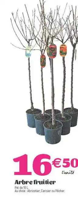Arbre Fruitier