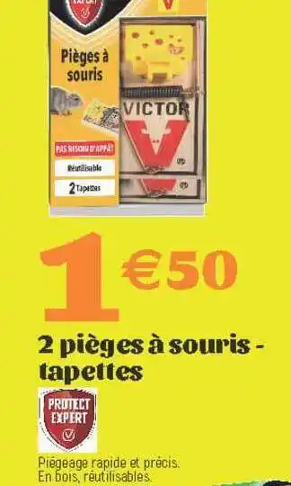 2 Pièges à Souris - Tapettes