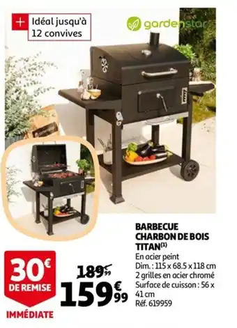Auchan Barbecue charbon de bois titan offre