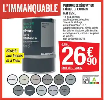 Brico Dépôt Peinture de rénovation faïence et lambris mat 0,75 L offre