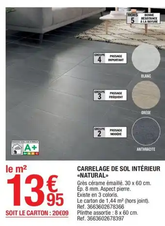 Brico Dépôt Carrelage de sol intérieur NATURAL offre