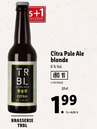 Lidl Citra pale ale blonde offre