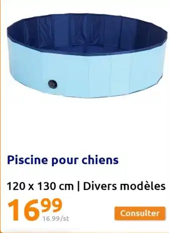Action Piscine Pour Chiens offre