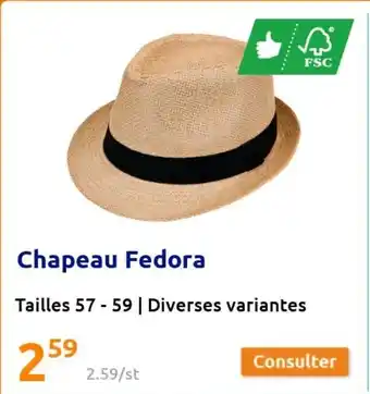 Action Chapeau Fedora offre