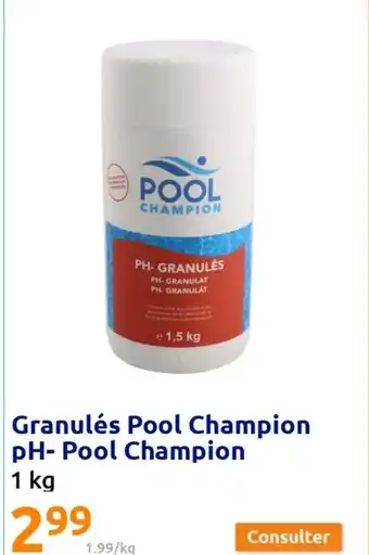 Granulés Pool Champion Ph-Pool Champion