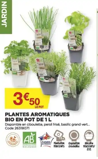 Bricomarché Plantes Aromatiques Bio En Pot de 1L offre