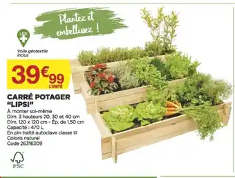 Bricomarché Carré Potager Lipsi offre