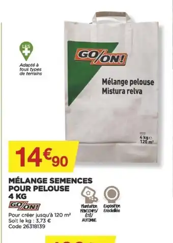 Mélange Semences Pour Pelouse 4kg