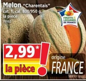 Norma Melon Charentais offre