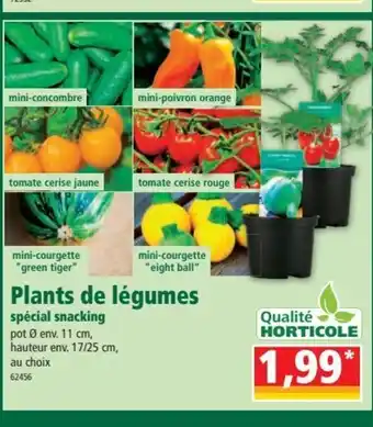 Norma Plants de Légumes Spécial Snacking offre