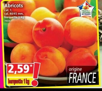 Norma Abricots offre