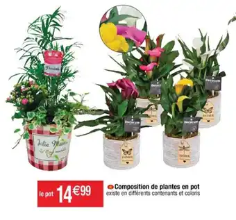 Cora x Carrefour Composition de plantes en pot offre
