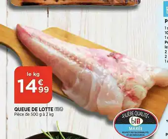 Bi1 Queue De Lotte offre