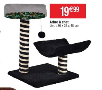 Cora x Carrefour Arbre à Chat offre