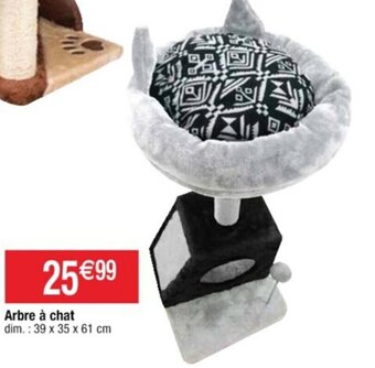 Cora x Carrefour Arbre à Chat offre