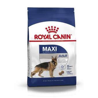 Truffaut Royal canin croquettes pour chien adulte maxi offre