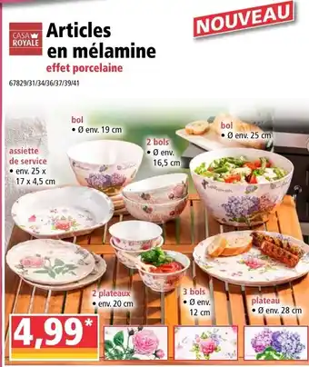 Articles en mélamine