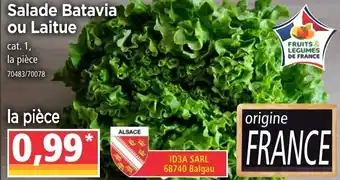 Norma Salade Batavia ou Laitue offre