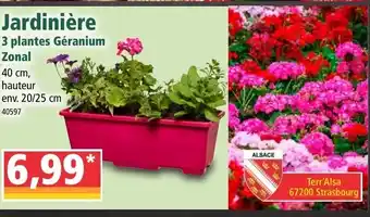 Norma Jardinière offre