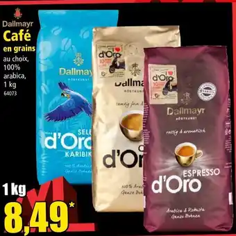 Norma Café en grain offre