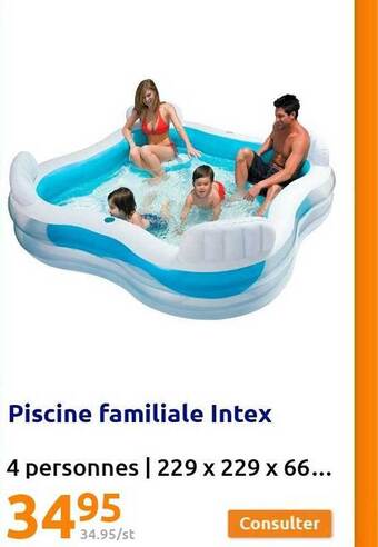 Piscine Familiale Intex