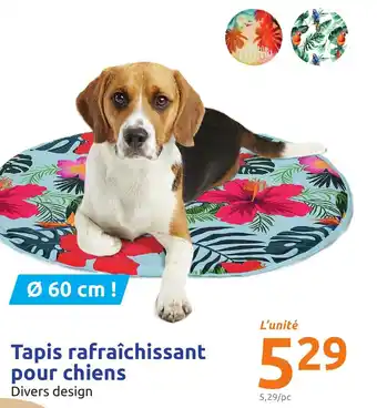 Tapis rafraîchissant pour chiens