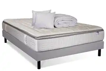 Dreamtech silver platinium majesty-aigle