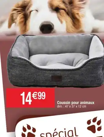 Cora x Carrefour Coussin pour aminamux offre