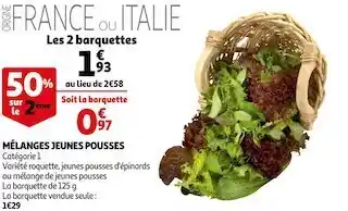 Mélanges jeunes pousses