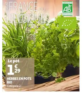 Auchan Herbes en pots bio offre