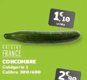 G20 Concombre offre