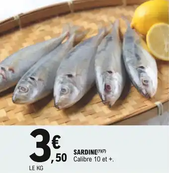 E.Leclerc Sardine offre