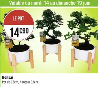 Géant Casino Bonsai offre